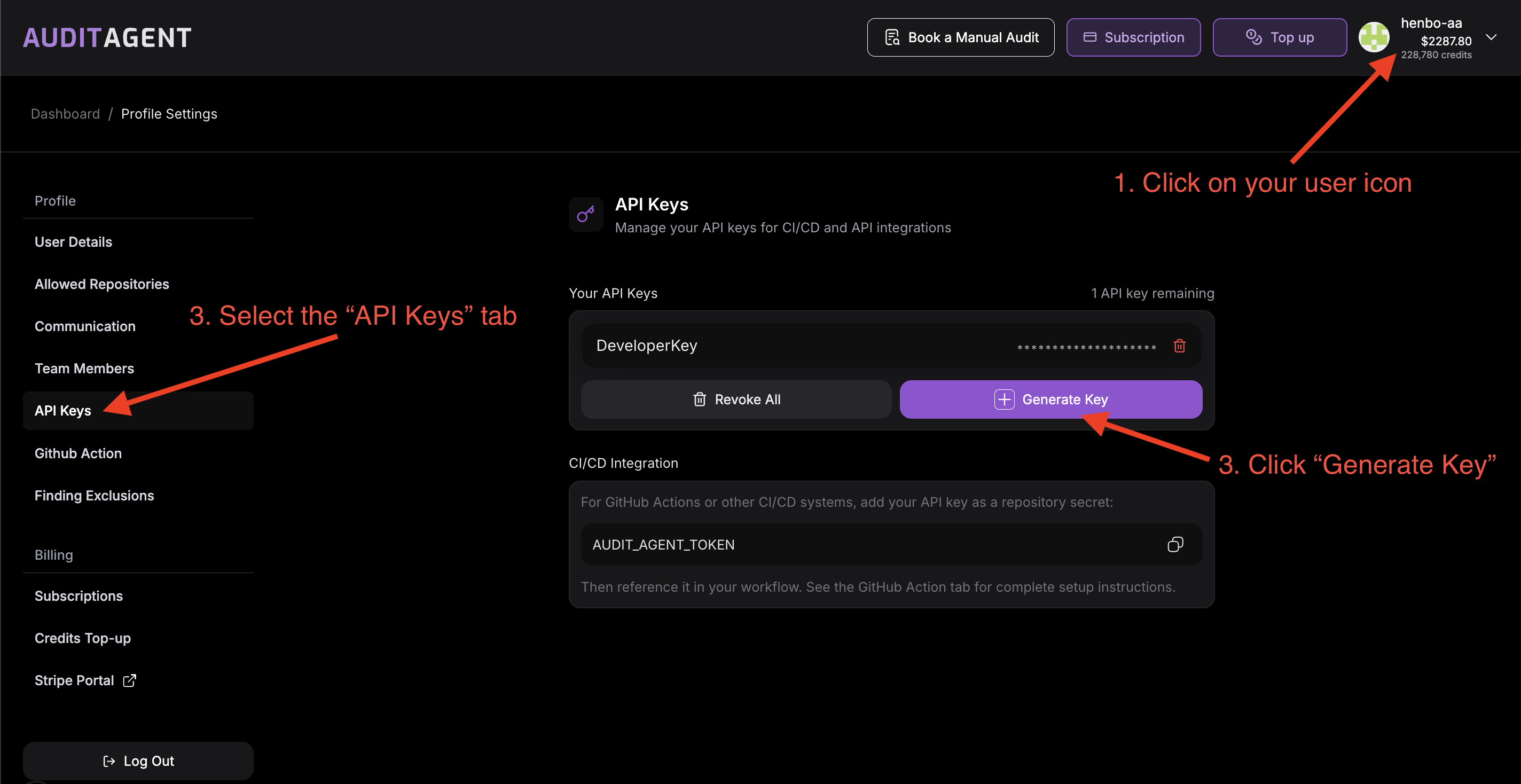 API Key Management Section