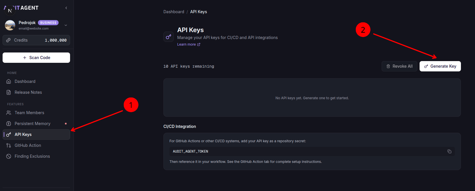 API Key Management Section