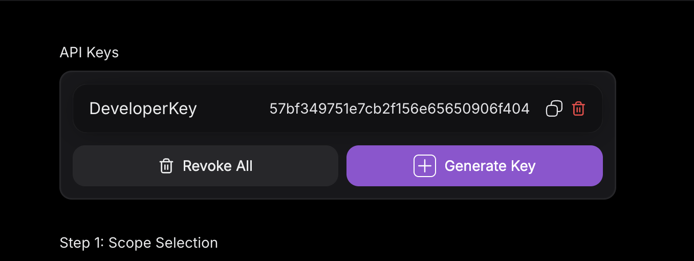 API Key Management Section
