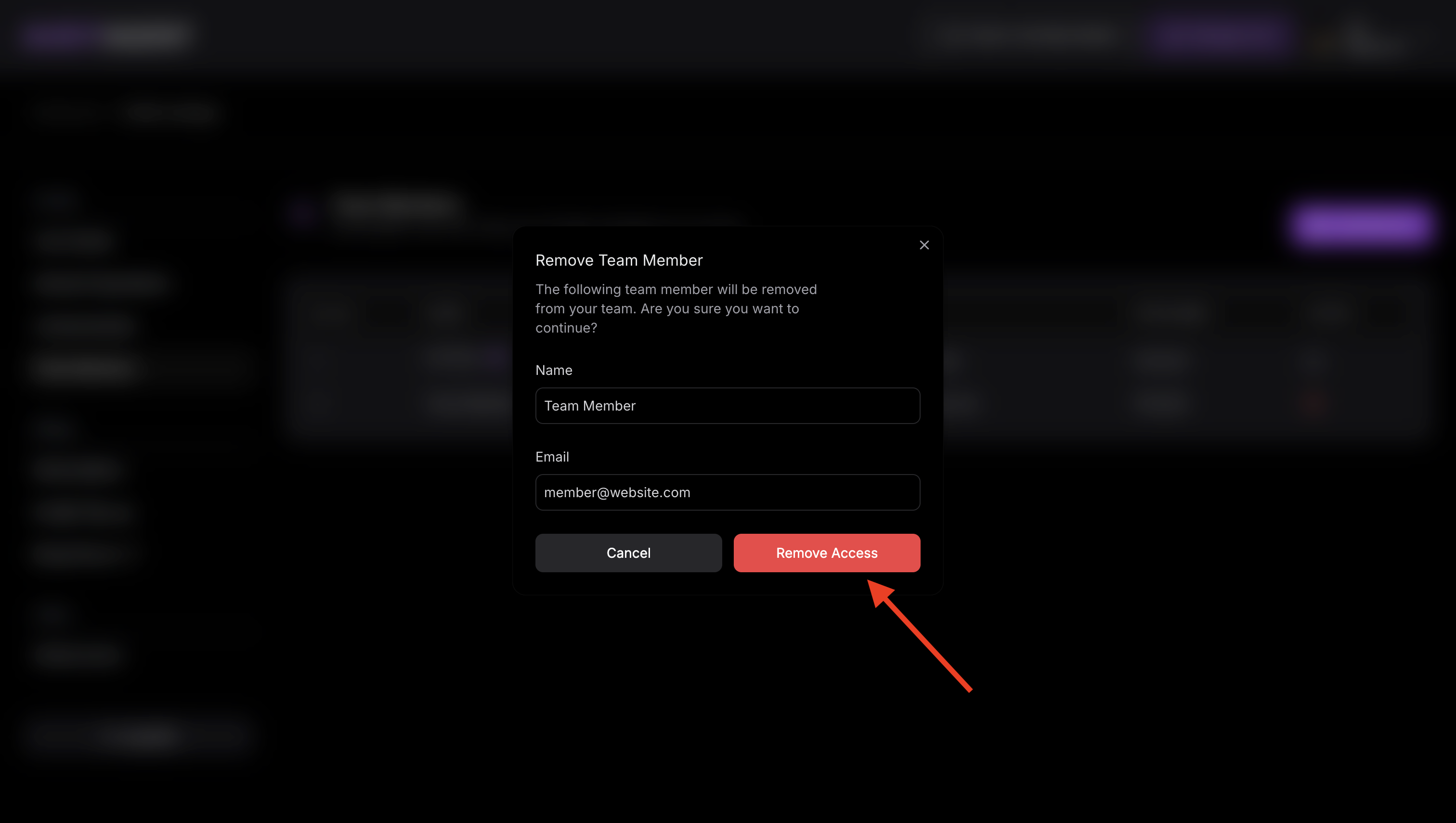 Remove Team Member Popup